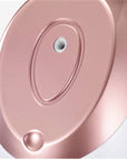 Nano Ionic Facial Steamer