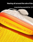 Electrothermal Couple Household Rechargeable Heating Shoes